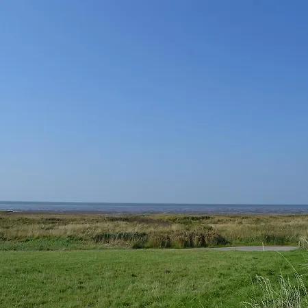 671 With Terrace Højer